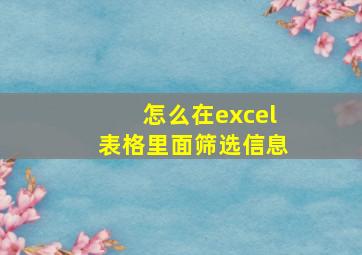 怎么在excel表格里面筛选信息