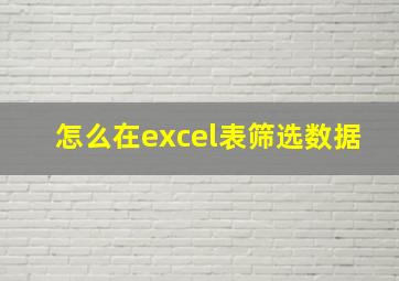 怎么在excel表筛选数据