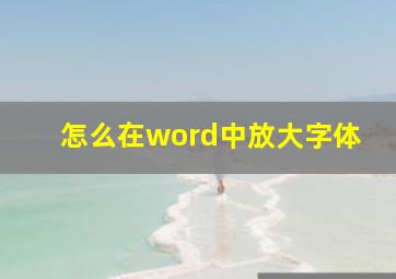 怎么在word中放大字体