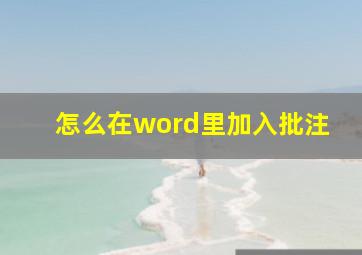 怎么在word里加入批注