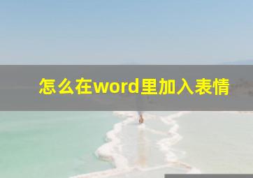 怎么在word里加入表情