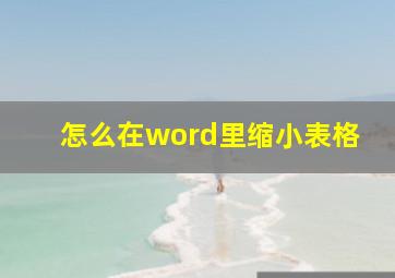 怎么在word里缩小表格