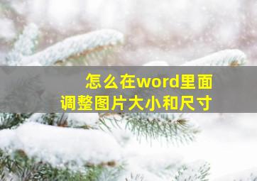 怎么在word里面调整图片大小和尺寸