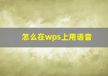 怎么在wps上用语音