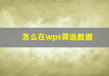 怎么在wps筛选数据