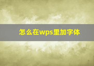 怎么在wps里加字体