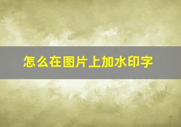 怎么在图片上加水印字