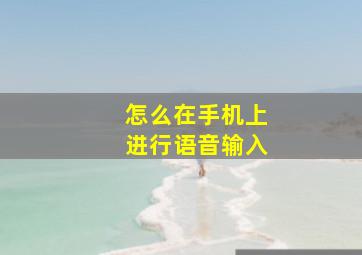 怎么在手机上进行语音输入