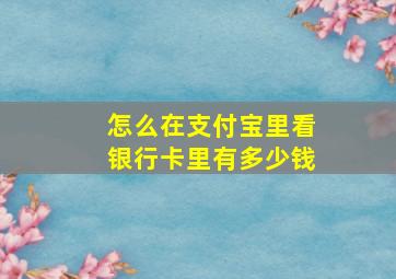 怎么在支付宝里看银行卡里有多少钱