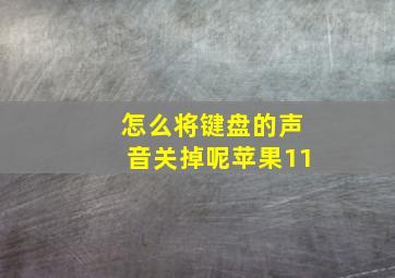 怎么将键盘的声音关掉呢苹果11