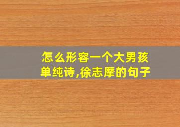 怎么形容一个大男孩单纯诗,徐志摩的句子