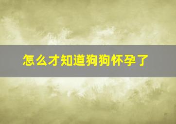 怎么才知道狗狗怀孕了