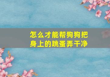 怎么才能帮狗狗把身上的跳蚤弄干净