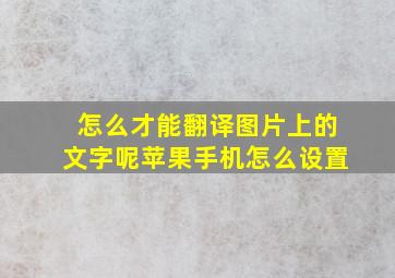 怎么才能翻译图片上的文字呢苹果手机怎么设置