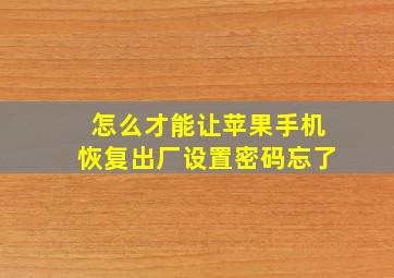 怎么才能让苹果手机恢复出厂设置密码忘了