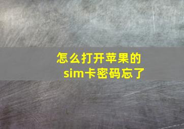 怎么打开苹果的sim卡密码忘了