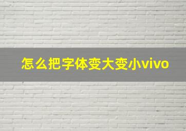 怎么把字体变大变小vivo