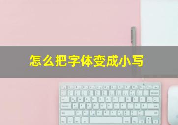 怎么把字体变成小写