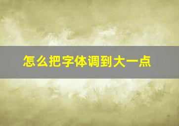 怎么把字体调到大一点