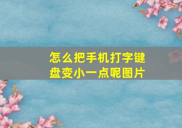 怎么把手机打字键盘变小一点呢图片