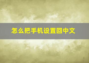 怎么把手机设置回中文