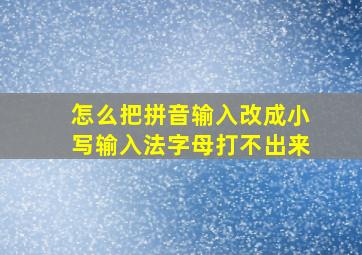 怎么把拼音输入改成小写输入法字母打不出来