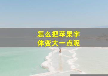 怎么把苹果字体变大一点呢