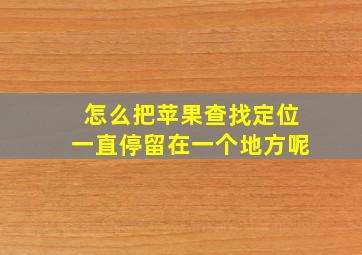 怎么把苹果查找定位一直停留在一个地方呢