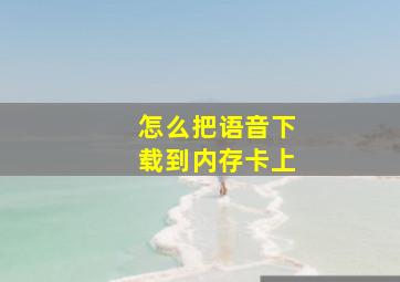 怎么把语音下载到内存卡上