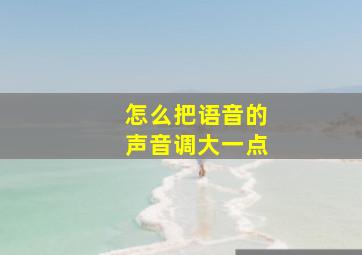 怎么把语音的声音调大一点