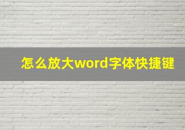 怎么放大word字体快捷键