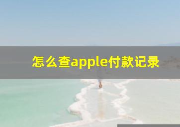 怎么查apple付款记录