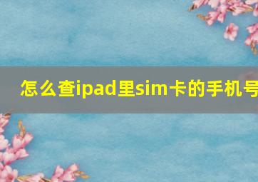 怎么查ipad里sim卡的手机号