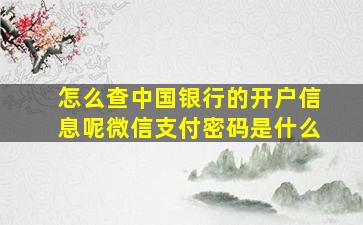 怎么查中国银行的开户信息呢微信支付密码是什么