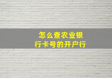 怎么查农业银行卡号的开户行