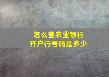 怎么查农业银行开户行号码是多少