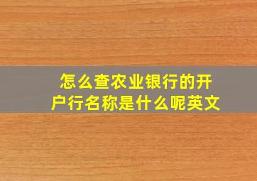 怎么查农业银行的开户行名称是什么呢英文