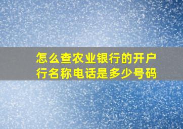 怎么查农业银行的开户行名称电话是多少号码