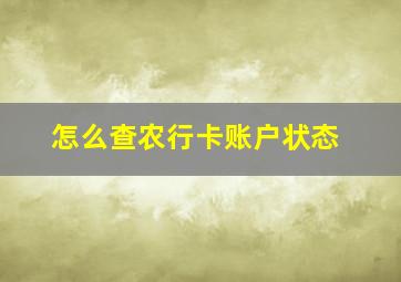 怎么查农行卡账户状态