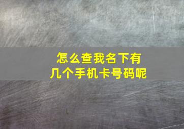 怎么查我名下有几个手机卡号码呢