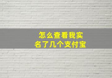 怎么查看我实名了几个支付宝