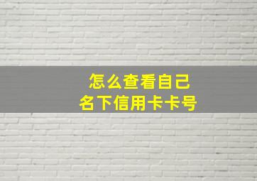 怎么查看自己名下信用卡卡号