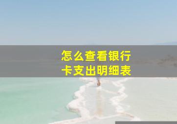 怎么查看银行卡支出明细表