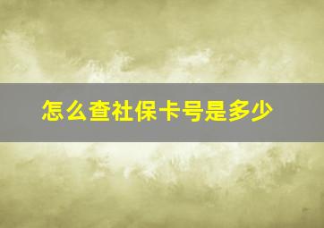 怎么查社保卡号是多少