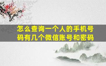 怎么查询一个人的手机号码有几个微信账号和密码