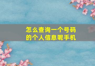 怎么查询一个号码的个人信息呢手机