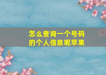 怎么查询一个号码的个人信息呢苹果