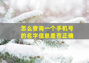 怎么查询一个手机号的名字信息是否正确