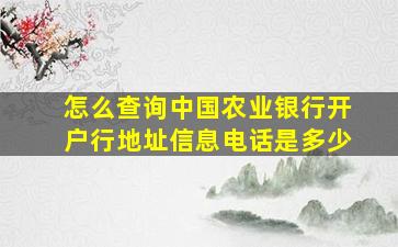 怎么查询中国农业银行开户行地址信息电话是多少