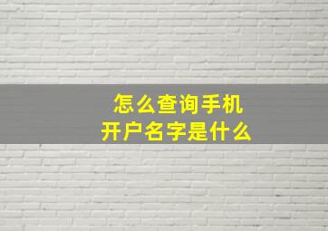 怎么查询手机开户名字是什么